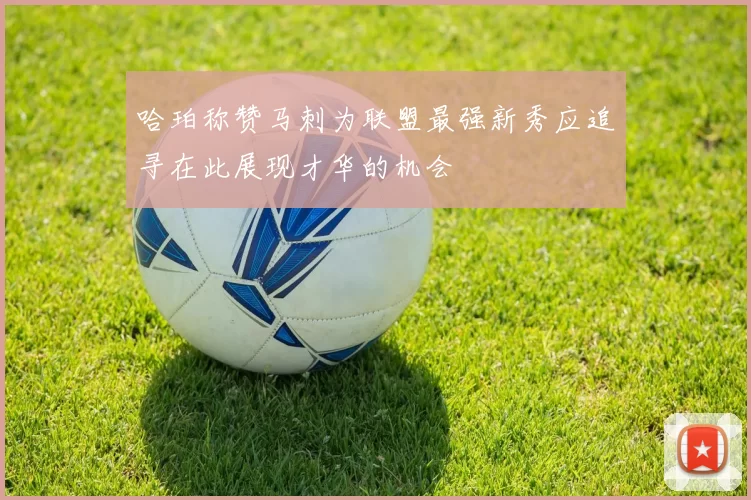 哈珀称赞马刺为联盟最强新秀应追寻在此展现才华的机会