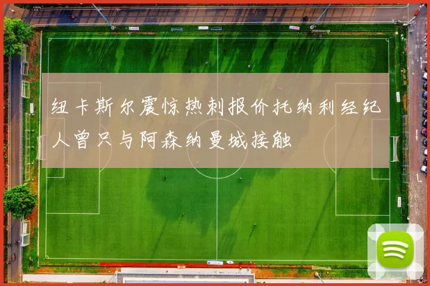 纽卡斯尔震惊热刺报价托纳利经纪人曾只与阿森纳曼城接触