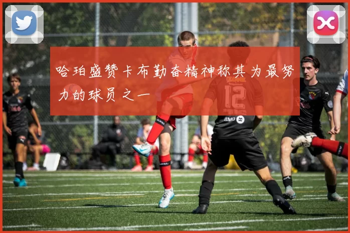 哈珀盛赞卡布勤奋精神称其为最努力的球员之一